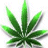 IndikaNiva's Avatar
