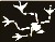 Ljais's Avatar