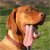 gurleygirl's Avatar