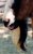 HolyGoat's Avatar