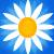 PerfectRadish's Avatar