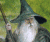 Ntaryl's Avatar