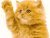 wuyh's Avatar