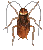 kakalake's Avatar