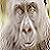 kishk91's Avatar