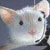 xander_tan's Avatar