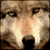 rowanjl's Avatar