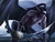 Neolisk's Avatar