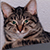 SuperSparks's Avatar