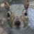 Coder Dave's Avatar